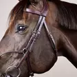 Dyon New English Collection Bridle Hybrid Noseband - Dyon New English - NEABA7 - 4