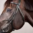Dyon New English Collection Bridle Hybrid Noseband - Dyon New English - NEABA7 - 3