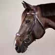 Dyon New English Collection Bridle Hybrid Noseband - Dyon New English - NEABA7 - 6