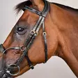 Dyon D Collection Suitset Hybrid Noseband - Dyon D Collection - DYABA7 - 4