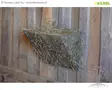 Kerbl Heinähäkki Feed Storage Rack - Heinähäkit, Heinäkaukalot - 3227 - 8