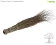 Kerbl Besom made from Bamboo - Brooms - 29497 - 1