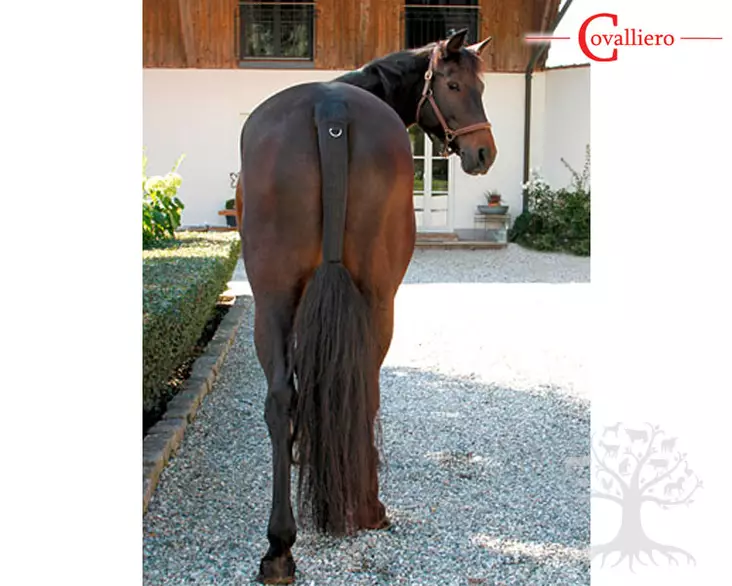 Covalliero Häntäsuoja TailGuard Black - Stable Boots, Travel Boots - 328657 - 1