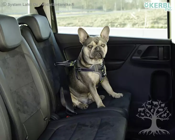 Kerbl Pet Car Safety Harness - Car Safety Harnesses - 80667 - 1