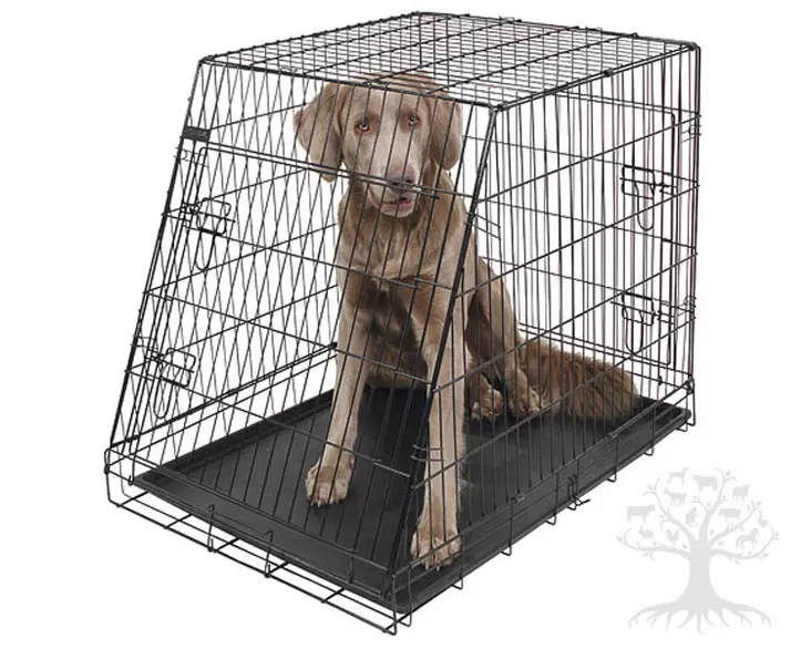 Kerbl Pet Metal Cage Travel Oblique - Metal Transport Cages - 81367 - 1