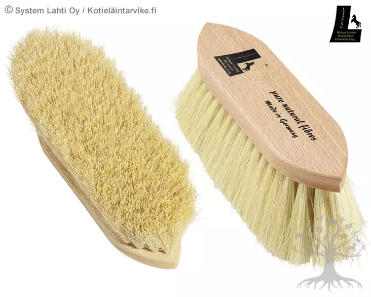 William Leistner Dusty 4h97 - WILLIAM LEISTNER Brushes - WL4h97 - 2