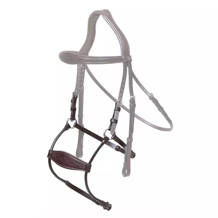 Dyon New English Collection Turpahihna Hybrid - Dyon New English - NE47 - 2