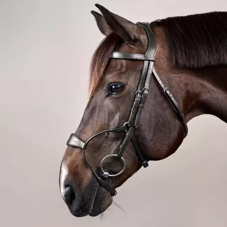 Dyon New English Collection Bridle Hybrid Noseband - Dyon New English - NEABA7 - 1