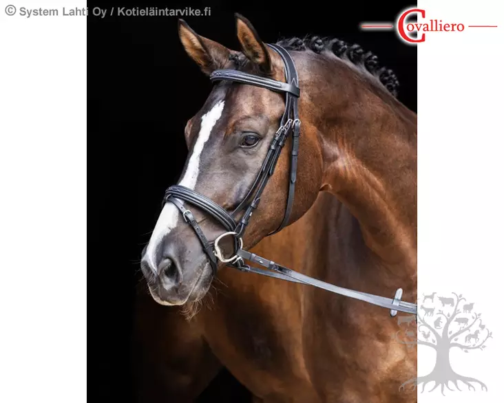 Covalliero Bridle Classic Black - Bridles - 326137 - 1