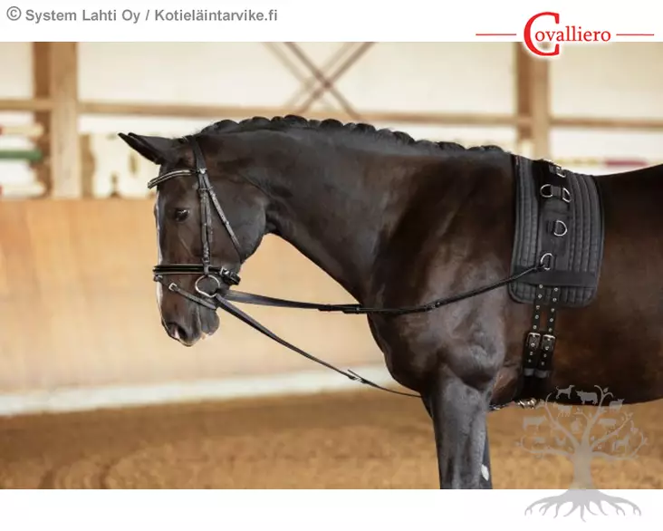 Covalliero Wien Apuohjat - Apuohjat, Gramaanit - 323597 - 1