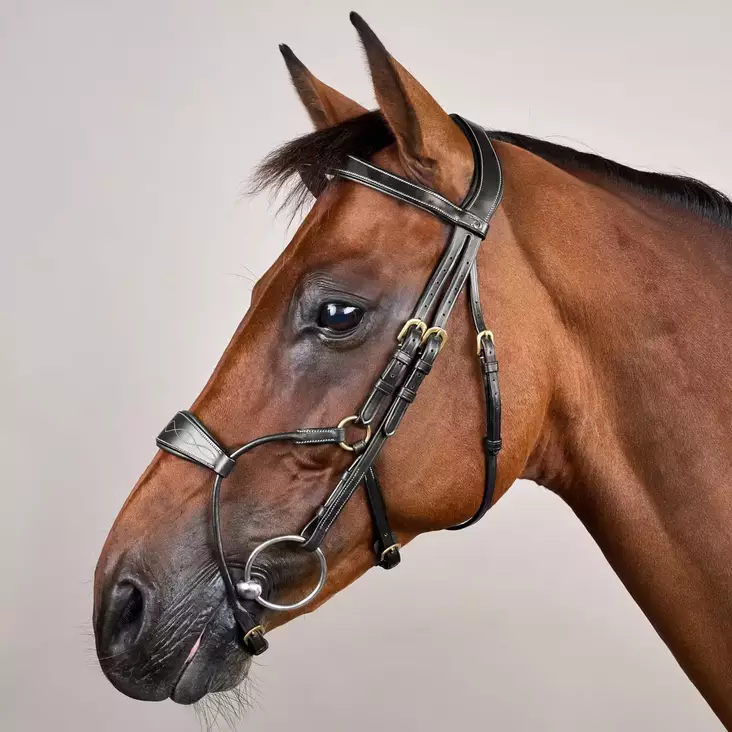 Dyon D Collection Suitset Hybrid Noseband - Dyon D Collection - DYABA7 - 1