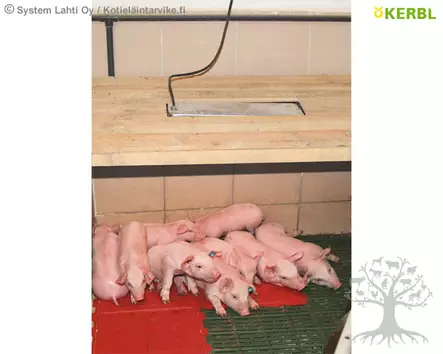 Kerbl Säteilylämmitin SunnyBoy 100W - Lämpölamput, suojakuvut - 22258 - 2