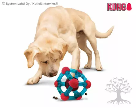 Kong Dog Active Toy Rewards Tinker - Activation Toys - 634.6178 - 2