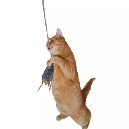 Ozami Cat Fishing Pole Toy Kiowa 80cm - Teasers & Wand Toys - 787.2738 - 4
