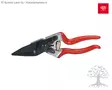 Felco Sorkkasakset 51 - Sorkkasakset - 2758 - 1