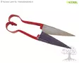 Kerbl Sheep Shear - Sheep Shearing - 188 - 1