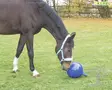 Kerbl Lelupallo HorseBall - Toys - 32398 - 4