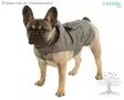 Kerbl Pet Koiran Sadetakki Pocket Rain Jacket - Sademanttelit - 80618 - 1