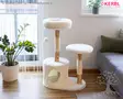 Kerbl Pet Cat Tree Lucia - Cat Trees - 86228 - 4