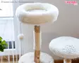 Kerbl Pet Cat Tree Lucia - Cat Trees - 86228 - 5