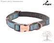 Rogz Kaulapanta Urban Classic Collar Turquoise - Nailonpannat - 617.6318 - 1
