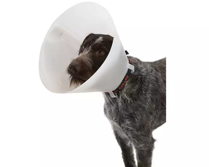 Buster Classic Kauluri 35cm - Wound Protectors - 273368 - 1