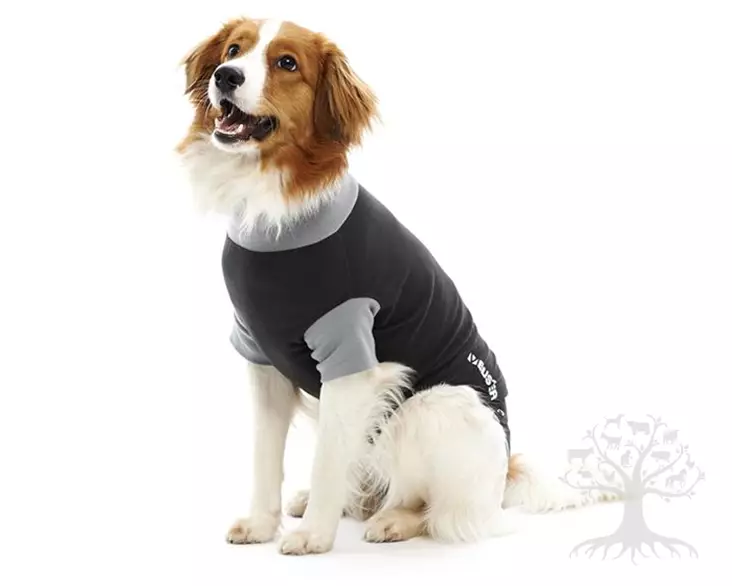 Buster Koiran Haavasuojapuku - Kaulurit, Haavasuojat - 273968 - 1