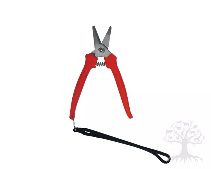 Hauptner Forceps - Castration - 99648 - 1