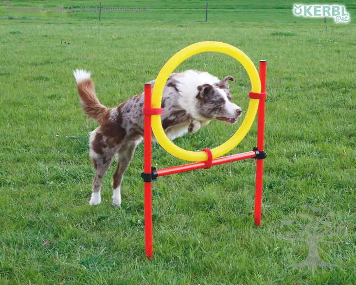 Kerbl Pet Agility Estesetti Complete 13 osaa - Agility - 80758 - 1