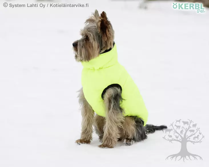 Kerbl Pet Koiran Käännettävä Toppatakki - Toppamanttelit - 80658 - 6