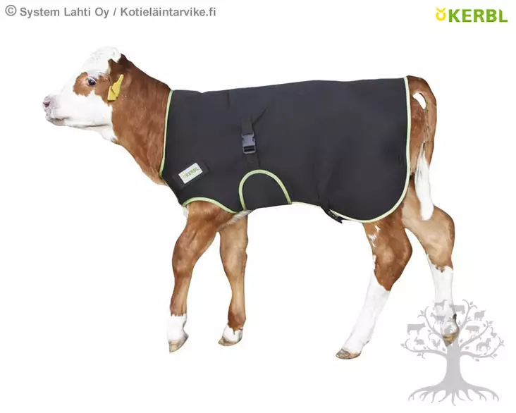 Kerbl Vasikan lämpöliivi Premium 80cm - Lämpöliivit, loimet - 14158 - 1