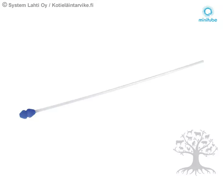 Minitube Insemination Catheter Foamtip 100pcs - Artificial Insemination - 22968 - 1