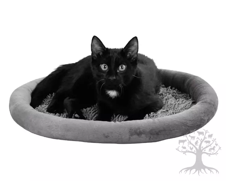 Kerbl Pet Kissanpeti Smooth Mop Grey - Reunalliset pedit - 81598 - 1