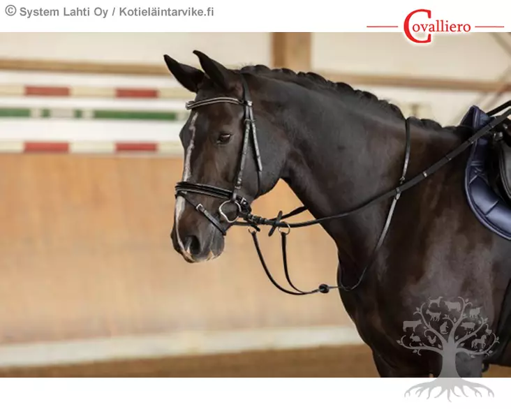 Covalliero Martingaali Basic - Martingaalit, Rintaremmit - 323598 - 1