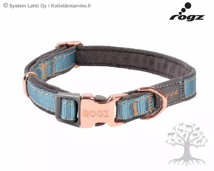 Rogz Kaulapanta Urban Classic Collar Turquoise - Nailonpannat - 617.6318 - 1
