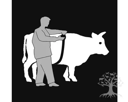 Kerbl Painomitta Animeter naudoille ja sioille 250cm - Haavojen hoito - 219 - 2