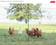 AKO Fencing Net PoultryNet Premium Basic - Poultry Netting - 292419 - 1