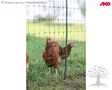 AKO Fencing Net PoultryNet Premium Basic - Poultry Netting - 292419 - 2