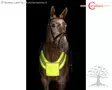 Covalliero Reflective Breastplate - Reflective & Safety Products - 3228169 - 1