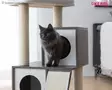 Kerbl Pet Cat Tree Flair - Cat Trees - 84439 - 8