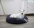 Petitline Koiran Reunallinen Peti Cosy Fluffy - Bolster Dog Beds - 80409 - 4