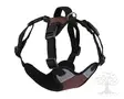 Kerbl Pet Harness Pulsive Brown - Dog Y-/H Shape Harnesses - 81019 - 3