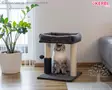 Kerbl Pet Cat Tree Rosi - Cat Trees - 86229 - 4