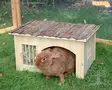 Kerbl Pet Rodent House with Hay Rack Nature - Rodent Houses & Cottages - 82759 - 2