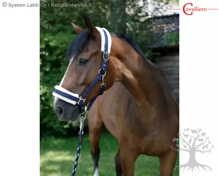 Covalliero Halter Exchange Faux Fur Navy - Nylon Halters - 3211599 - 1
