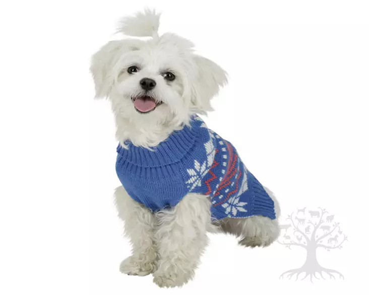 Kerbl Pet Koiran Neule Frozen - Paidat, neuleet ja takit - 80639 - 1