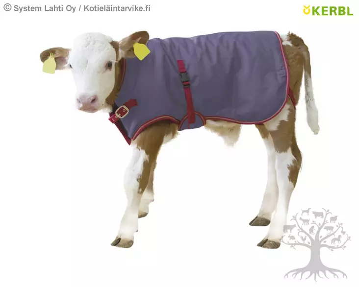 Kerbl Vasikan loimi ThermoPlus 80cm - Lämpöliivit, loimet - 14149 - 1