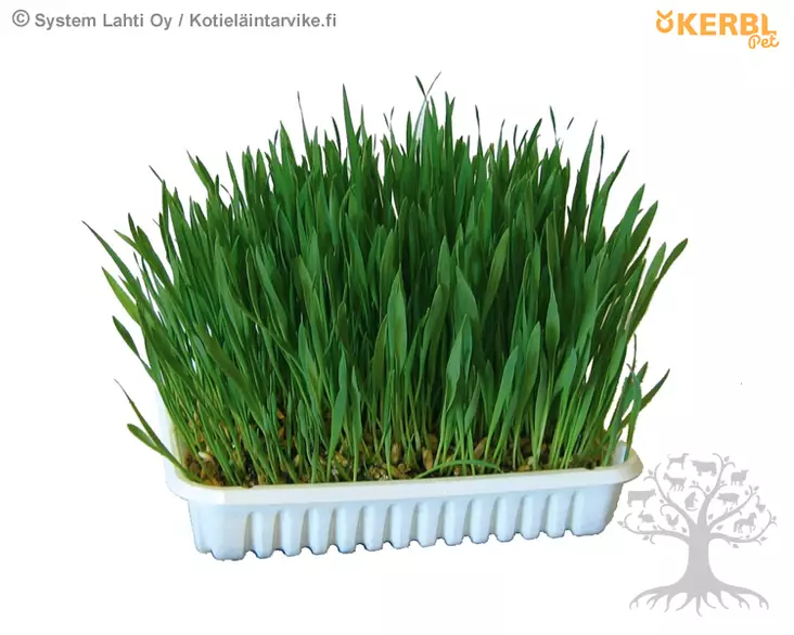 Kerbl Pet Jyrsijänruoho 100g - Herkut, Yrtit, Proteiinit - 83199 - 1