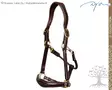 Dyon D Collection Head Collar Leather 2in1 Travel & Grooming - Dyon D Collection - DY09A - 3