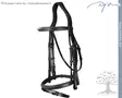 Dyon US Collection Double Bridle Flash Noseband - Dyon US Collection - USLAAA - 3
